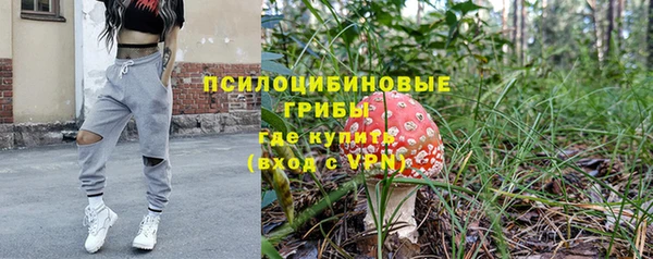 стаф Алексеевка