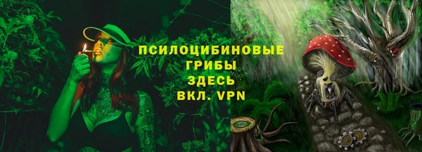 стаф Алексеевка