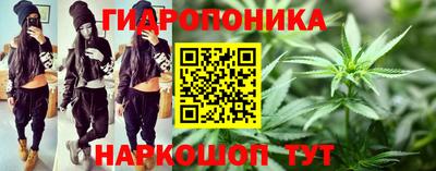 крисы Пугачёв