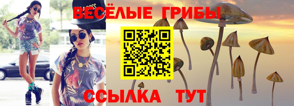 Псилоцибиновые грибы мухоморы  купить   Пушкино  Вход с VPN  Псилоцибиновые грибы MAGIC MUSHROOMS 